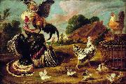 Paul de Vos The fight between a turkey and a rooster. painting
